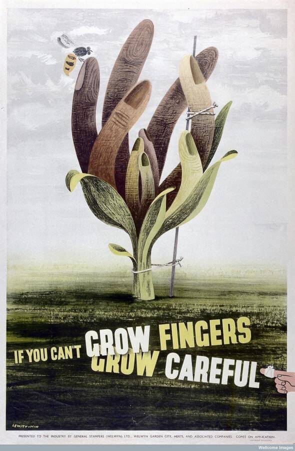 growfingers-jpg-crop-promovar-mediumlarge