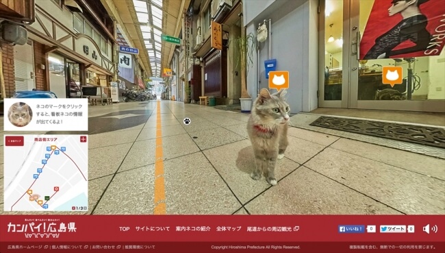 広島Cat Street View-尾道編