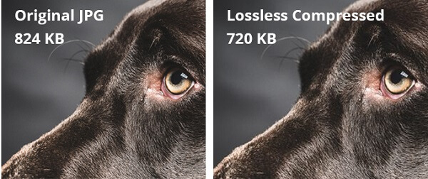 lossless-comparison-photos