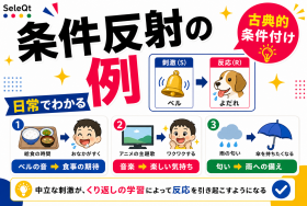 古典的条件付けと条件反射の例を示すSELEQT記事サムネイル