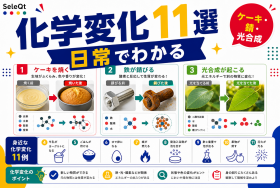 ケーキや錆や光合成など身近な化学変化11選を示すSELEQT記事サムネイル